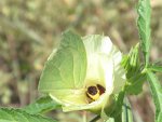IMG_0004.JPG