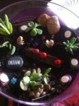 My1stfairygarden.jpg