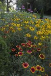 IMG_0419 copy.jpg