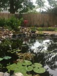 2017-05-30 06.46.44.jpg
