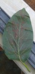 20170619_125204.jpg