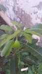 20170714_143213.jpg