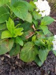 20170805_173500.jpg
