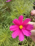 IMG_20170806_111837.jpg