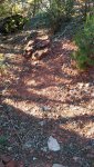 20170918_181815.jpg 20170918_181815.jpg