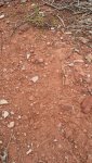 20170922_140140.jpg 20170922_140140.jpg