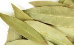 bay leaf.jpg