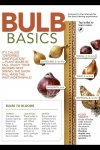 bulb guide.jpg