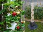 Strawberry-Tube-Planter-3.jpg