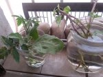 20180208_143051.jpg