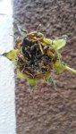 20180328_071806.jpg