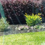 20180420_125911.jpg