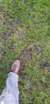 20180425_190638.jpg 20180425_190638.jpg