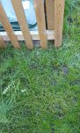 20180425_190646.jpg 20180425_190646.jpg