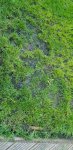 20180425_190835.jpg 20180425_190835.jpg