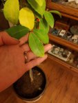 20180506_213406.jpg