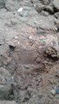 Soil layer 2.jpg