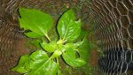 20180703_222611.jpg