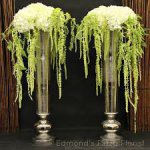 hang1amaranthus.jpe