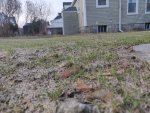 IMG_20190102_072601.jpg