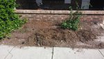 20150409_161755.jpg
