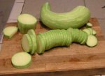 zuchettarampicanteLR.jpg