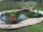 pond 42315.jpg pond 42315.jpg