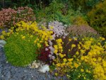 DSC01804.JPG