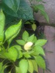 20190711_072347.jpg 20190711_072347.jpg