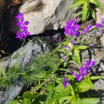 20190713_100146.jpg