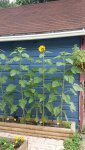 20150509_123418.jpg
