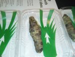 wasabi1.jpg