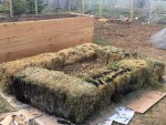 garden hay bale straw cold frame 5-20.JPG