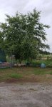 20200606_191824.jpg