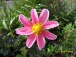 SAM_0494.JPG