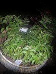20150605_210232.jpg