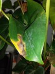 20201108_155437.jpg