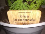 IMG_20201217_230253263.jpg