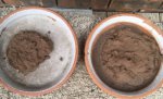 Soil janas sample dried- 8-22-20 .JPG