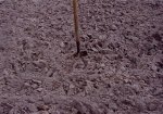 garden plowed shovel- 1-6-07.jpg