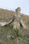 Yucca fence corner - Ks-2020.jpg