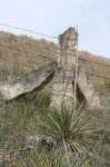 Yucca fence corner - Ks-2020.jpg