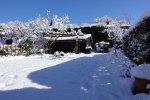 DSC02220.JPG
