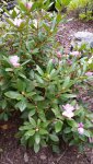 20150817_100248.jpg