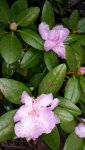 20150818_153016.jpg