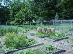 moveable-raised-beds-1.jpg