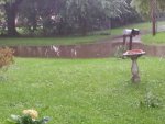 rain1.jpg