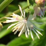 IMG_0123 2.jpg
