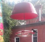 2021MaleRubyThroatedHummingbird.jpg