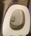 toilet seat 2017.JPG
